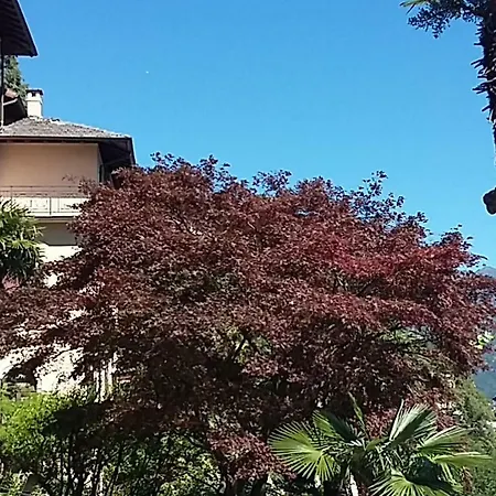 Frühstückspension Sasso Dimora Di Cannobio